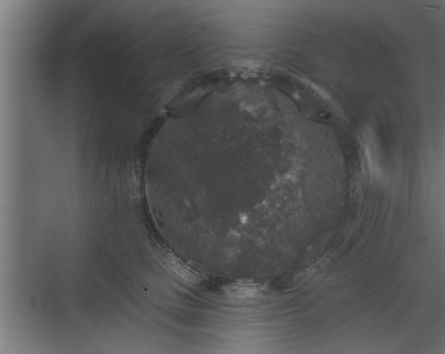 X0000072510661200607211359