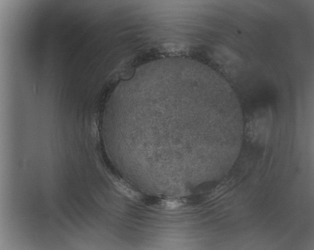 X0000072510662200607211359