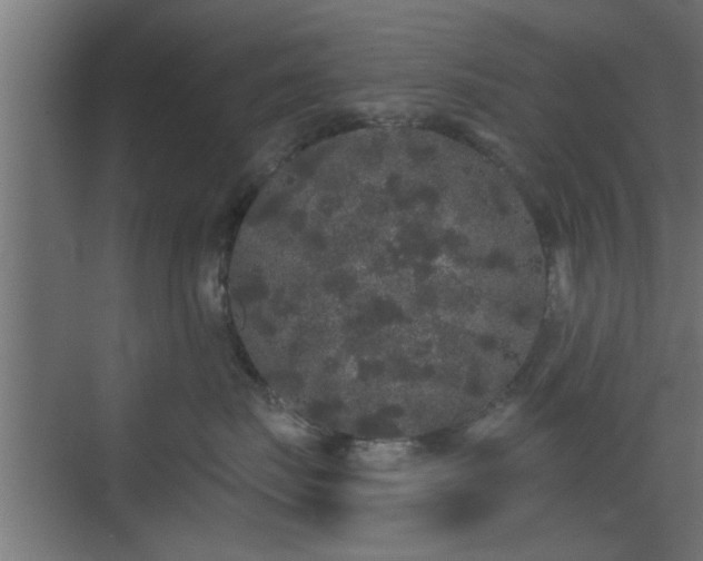 X0000072510671200607211359