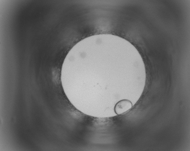 X0000072510672200607211359