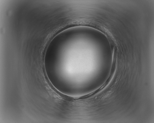 X0000072510673200607211358