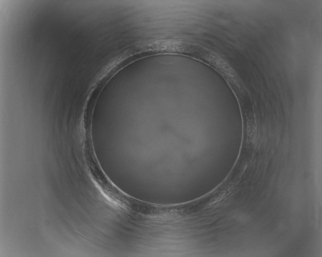 X0000072510674200607211358