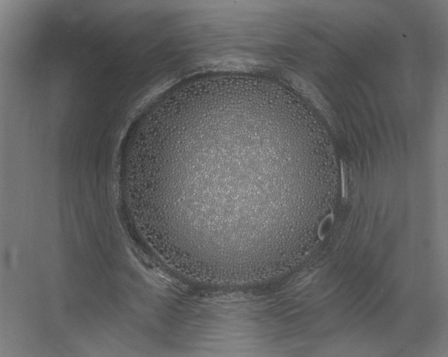 X0000072510675200607211358