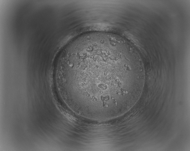 X0000072510679200607211358