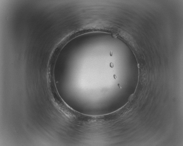 X0000072510680200607211358