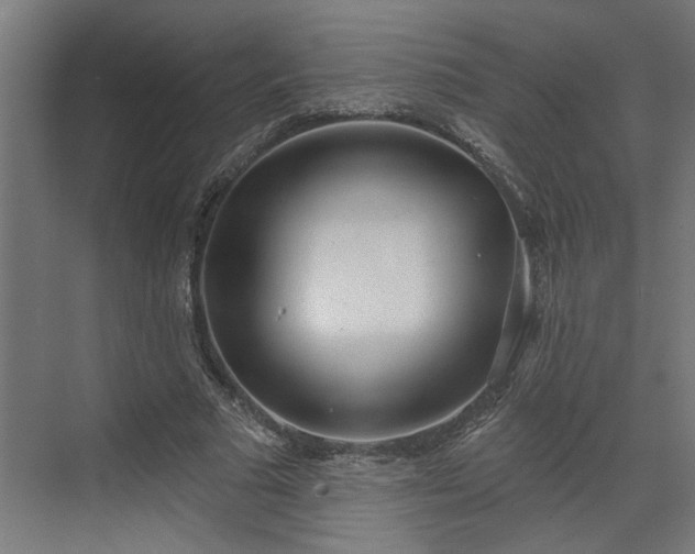 X0000072510681200607211358