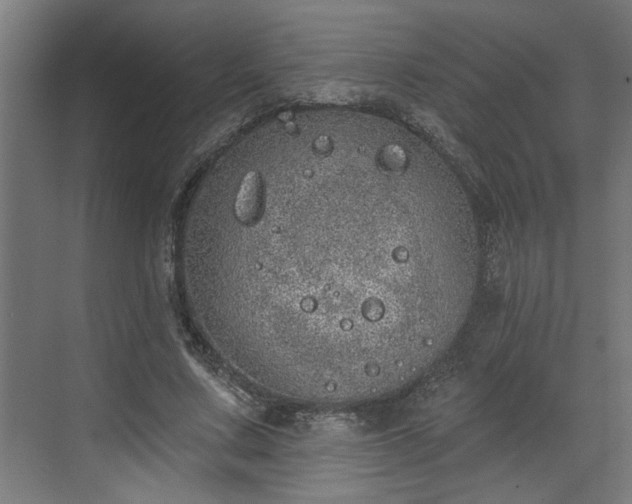 X0000072510683200607211358