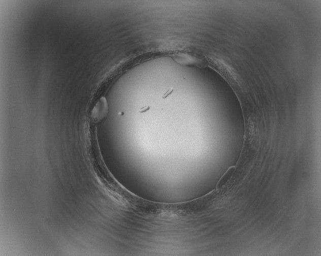 X0000072510684200607211358