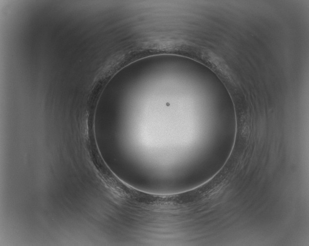 X0000072510685200607211358