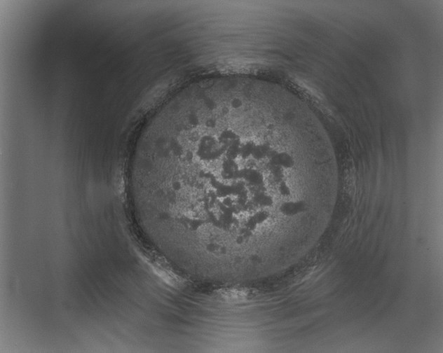 X0000072510687200607211358