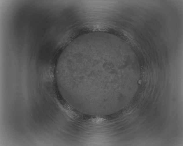 X0000072510695200607211358