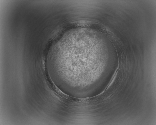 X0000072510696200607211358