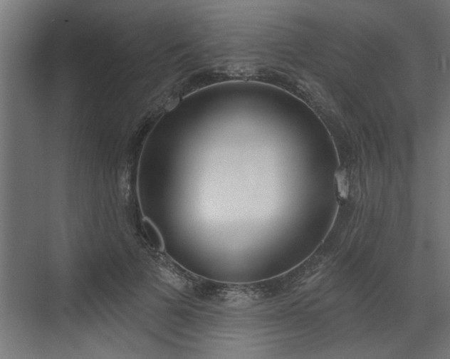 X0000072510697200607211358