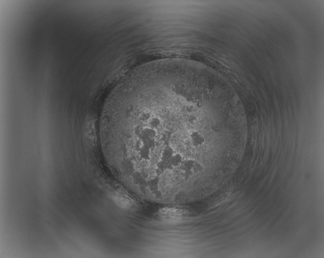 X0000072510699200607211358