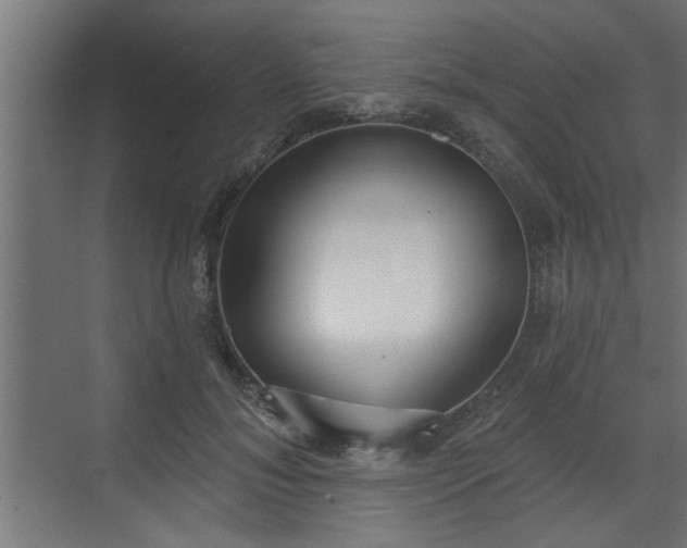 X0000072510700200607211358