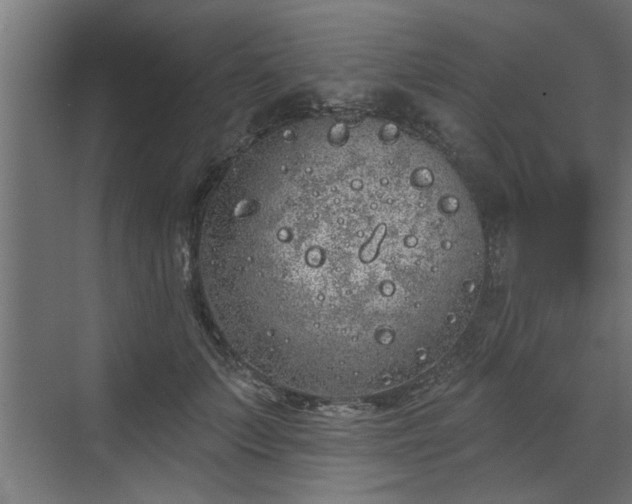 X0000072510703200607211357