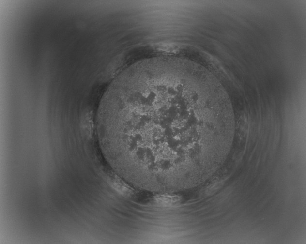 X0000072510707200607211357