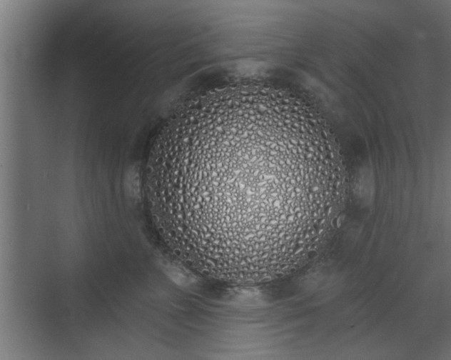 X0000072510715200607211357