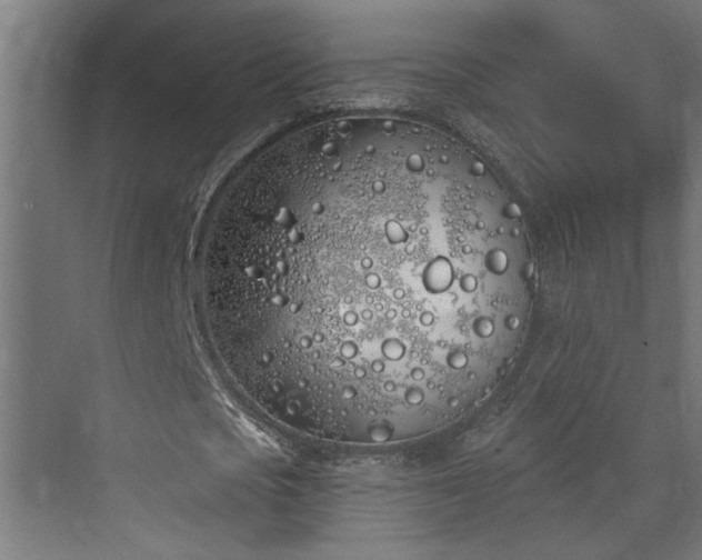 X0000072510721200607211356