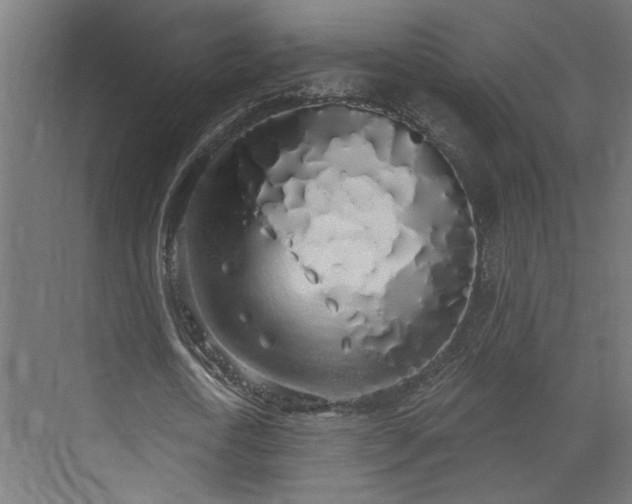 X0000072510722200607211356