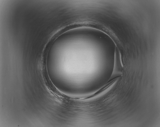 X0000072510724200607211356