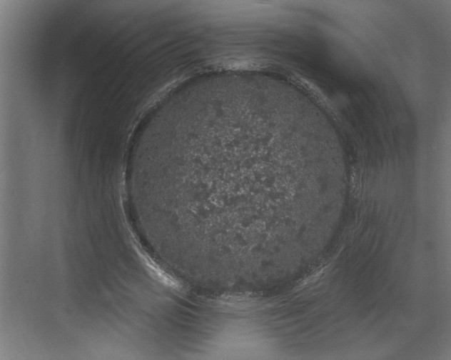 X0000072510725200607211356