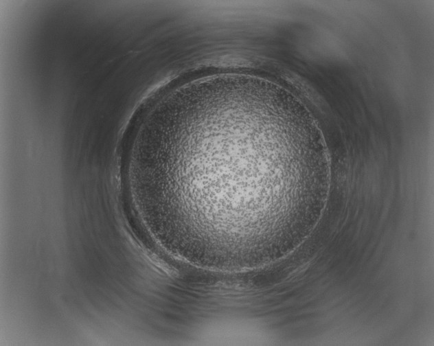 X0000072510727200607211356