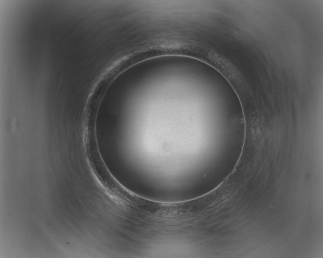 X0000072510728200607211356