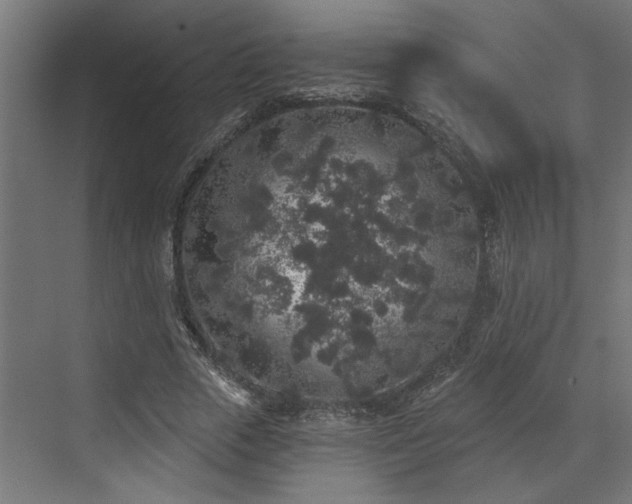 X0000072510729200607211356