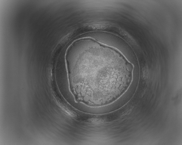 X0000072510733200607211357