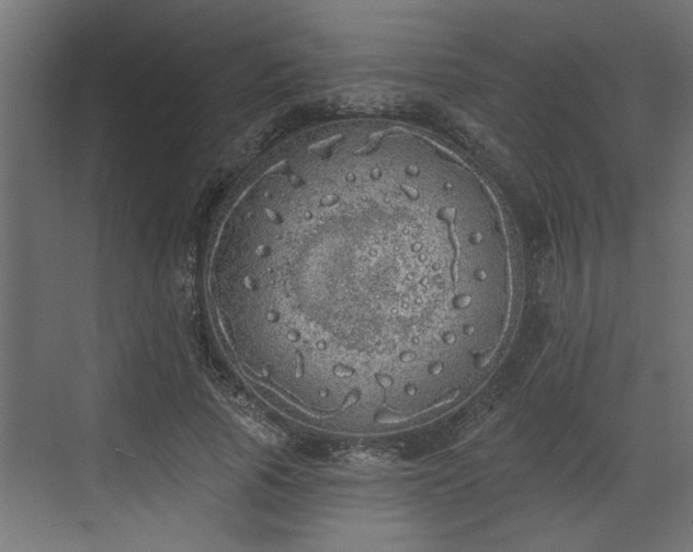 X0000072510737200607211357