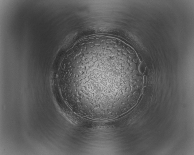 X0000072510738200607211357