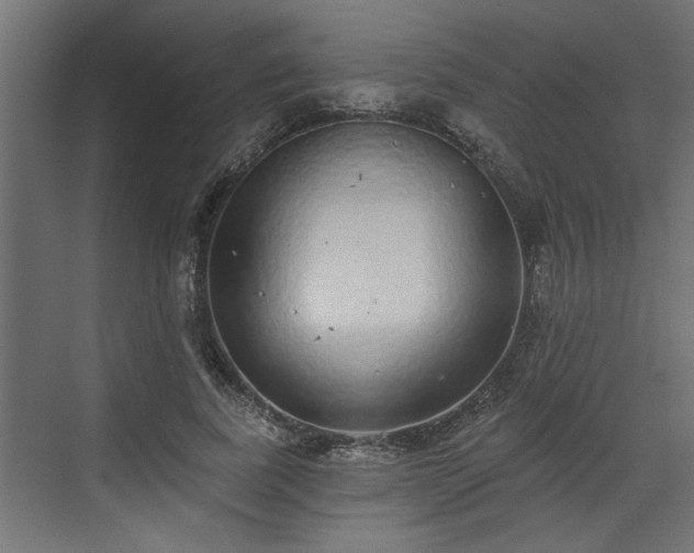 X0000072510739200607211357