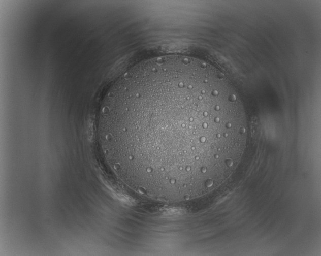 X0000072510741200607211357