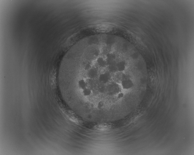 X0000072510745200607211357