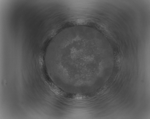 X0000072510746200607211357