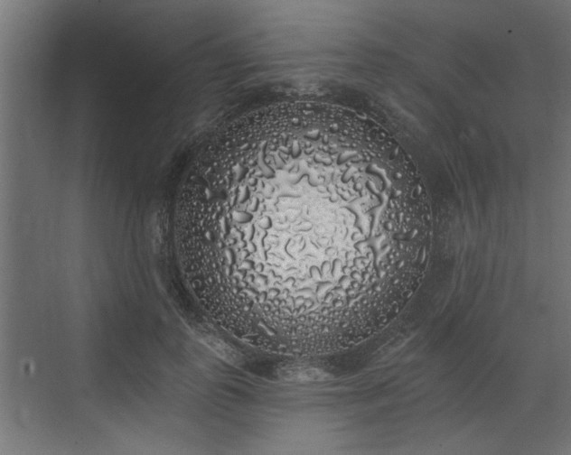 X0000072510747200607211357