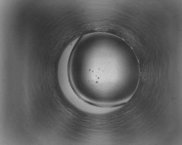 X0000072510748200607211357