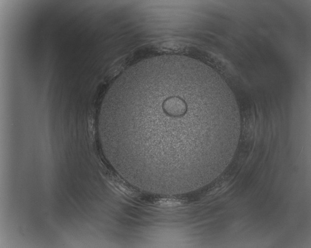 X0000072510749200607211357