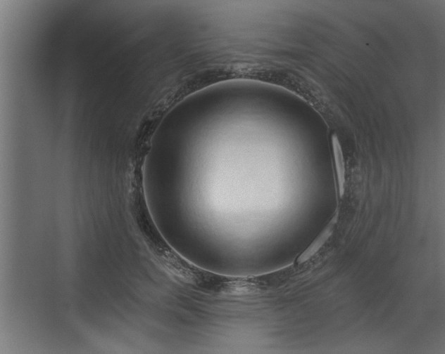 X0000072510750200607211357