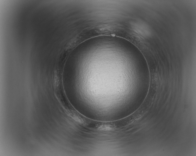 X0000072510751200607211357