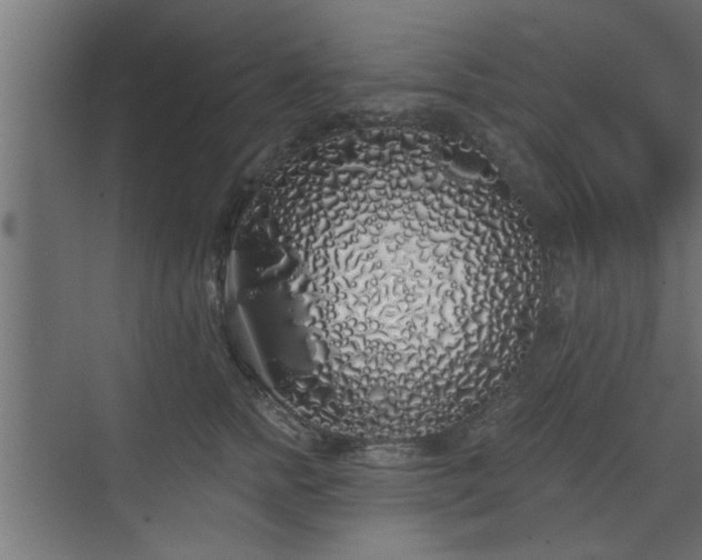 X0000072510758200607211357