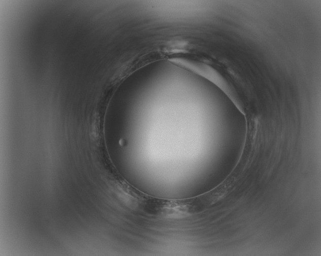 X0000072510760200607211357