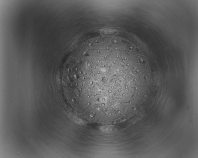 X0000072510761200607211357