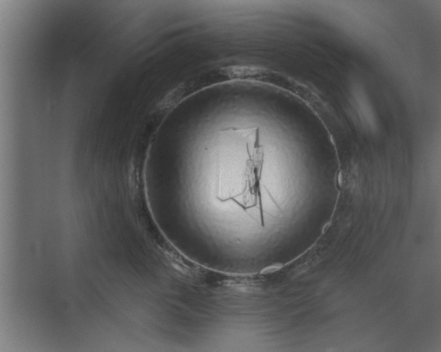 X0000072510763200607211357