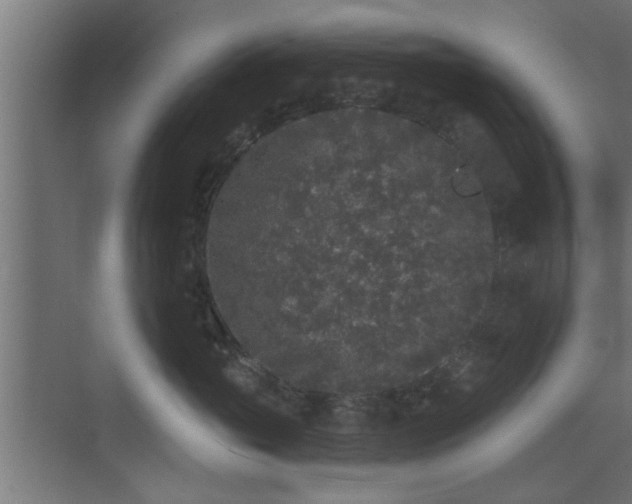 X0000072510765200607211357