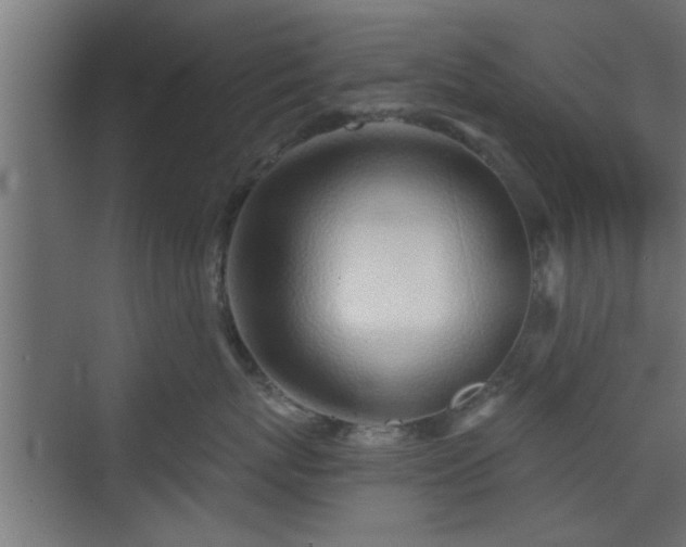 X0000072510767200607211357