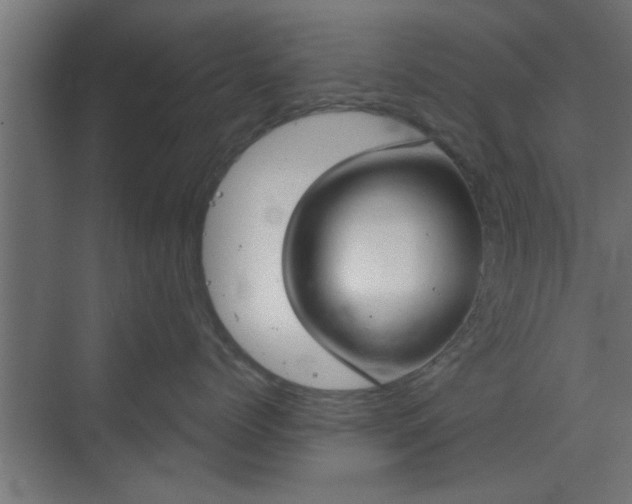 X0000072510768200607211357