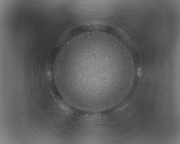 X0000072510771200607211356