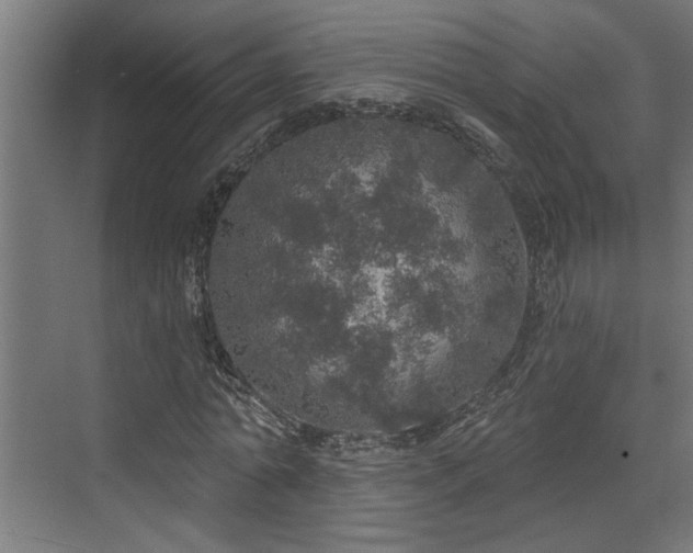 X0000072510774200607211356